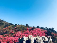 -木兰云雾山