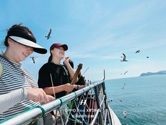 -海驴岛(荣成市)