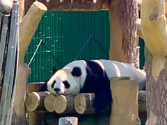-沈阳森林动物园