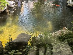 -鲤院·新中式美学·庭院餐厅(夫子庙店)