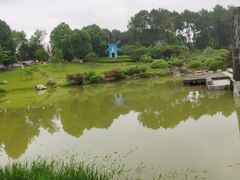 -铁山坪森林公园