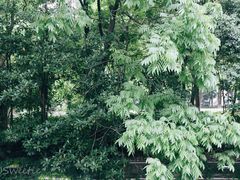 -浙江省杭州高级中学(贡院校区)