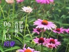 -世纪公园