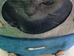-美迦爱-牙专科·兔科·骨科诊疗中心(北苑店)