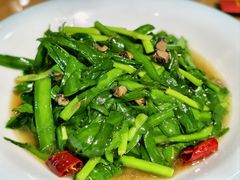 韭菜螺丝-半盆菜酒家(中山南一路店)
