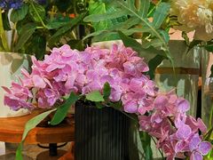 -花二家·生活馆(六运小区店)