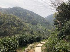 -东白山