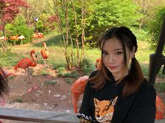 -青岛森林野生动物世界