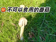 -滨湖塘西河公园