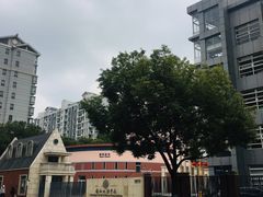 -协和双语学校(虹桥校区)