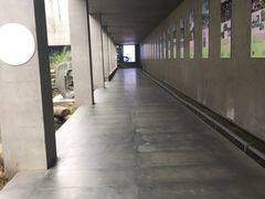 -中国湿地博物馆