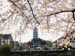 -常熟方塔园