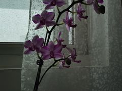 -盒马鲜生(文景博乐里购物广场店)