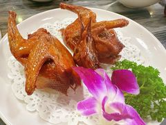 -鸽鸟轩(石岐店)