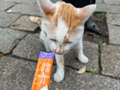 -西园寺素食(西园弄戒幢律寺店)
