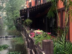老鳟鱼餐吧-Local泰莲庭(虹鳟鱼店)