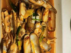 盐烤蛏子-潮人姐妹轩(海宁路店)