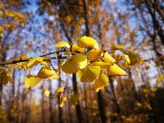 -艾溪湖湿地公园