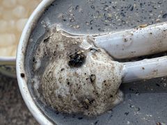 -茉沏(相城天虹店)