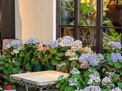 -Lamant Manor已闻花名关於蓝