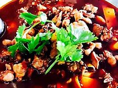 -冯记香辣兔火锅(茶店子总店)