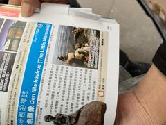 -美人鱼