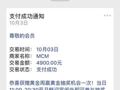 -MCM(比斯特上海购物村店)