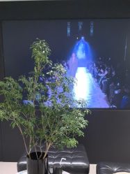 -付军剪艺JF ProSalon