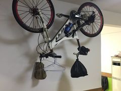 -金砂阿洲鱼册店