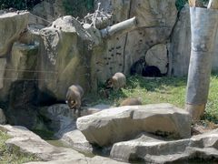 -上海野生动物园