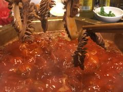 -蜀九香火锅(彩虹店)