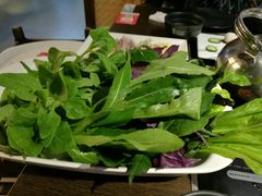 山茅野菜-老诚一锅羊蝎子(黄寺大街店)