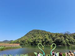 -广州市石门国家森林公园