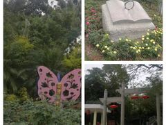 -人民公园(罗湖区)