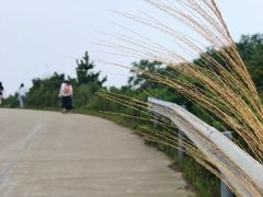 -东极岛景区