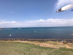 -青海湖国家重点风景名胜区