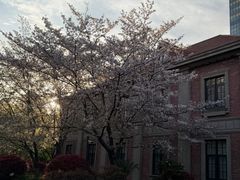 -上海瑞金洲际酒店