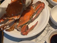 -悦海·家宴·冰花皮皮虾大锅贴(宝龙店)