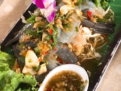 -Jungle Kitchen