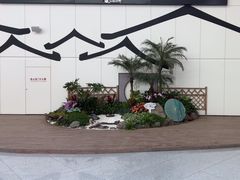 -福州长乐国际机场