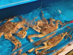 -蟹田居·活蟹料理(东城店)