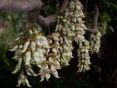 -清溪大王山森林公园