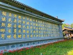 -西安大兴善寺