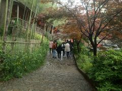 -宁波浙东大竹海景区