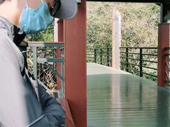 -亚龙湾海底世界