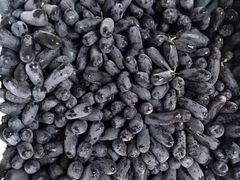 -哈尔滨中央大街华特酒店