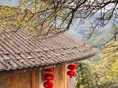 -南靖田螺坑土楼群景区