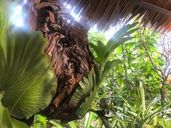 -自然餐厅(Phuket)