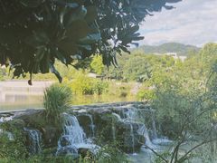 -浙江农林大学(东湖校区)