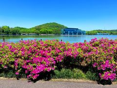 -上海月湖雕塑公园